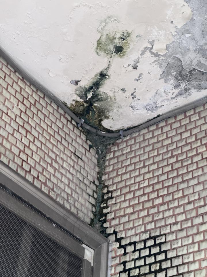 抓漏案件圖片