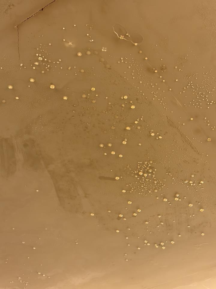 屋頂防水案件圖片
