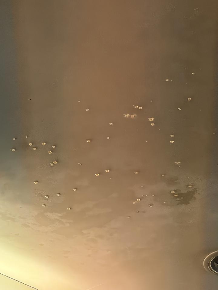 屋頂防水案件圖片