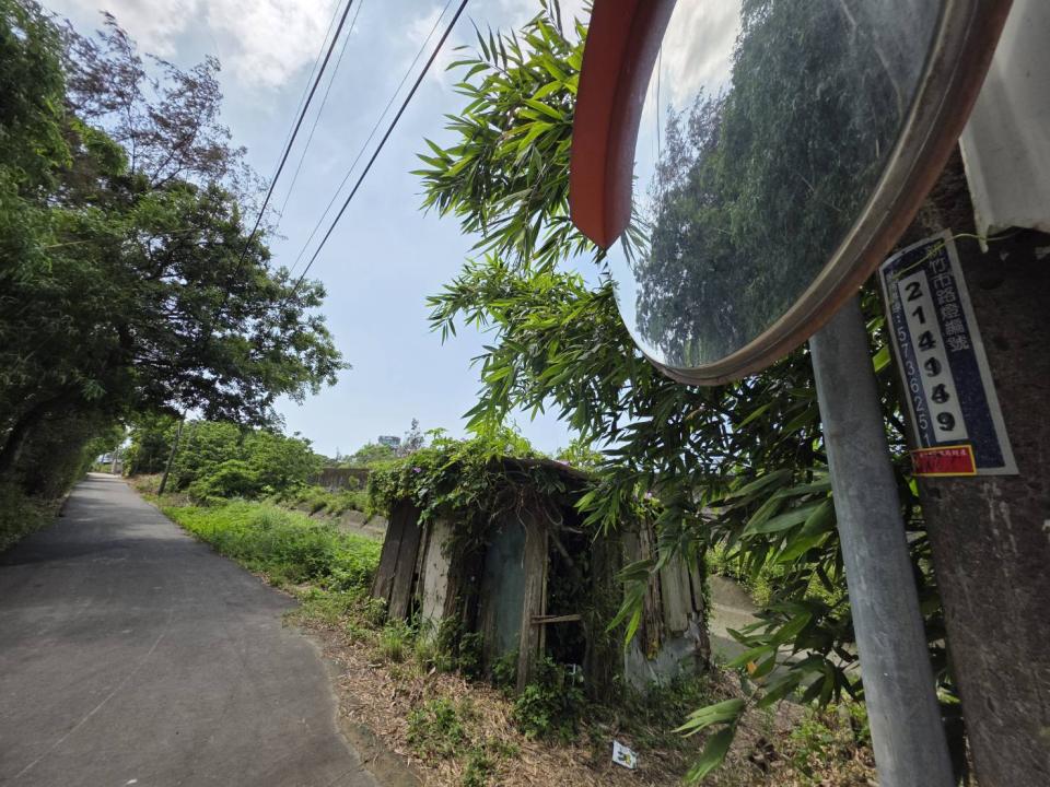 園藝維護案件圖片