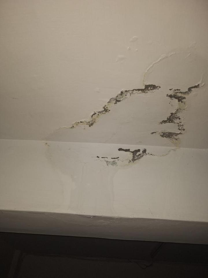 漏水處理案件圖片