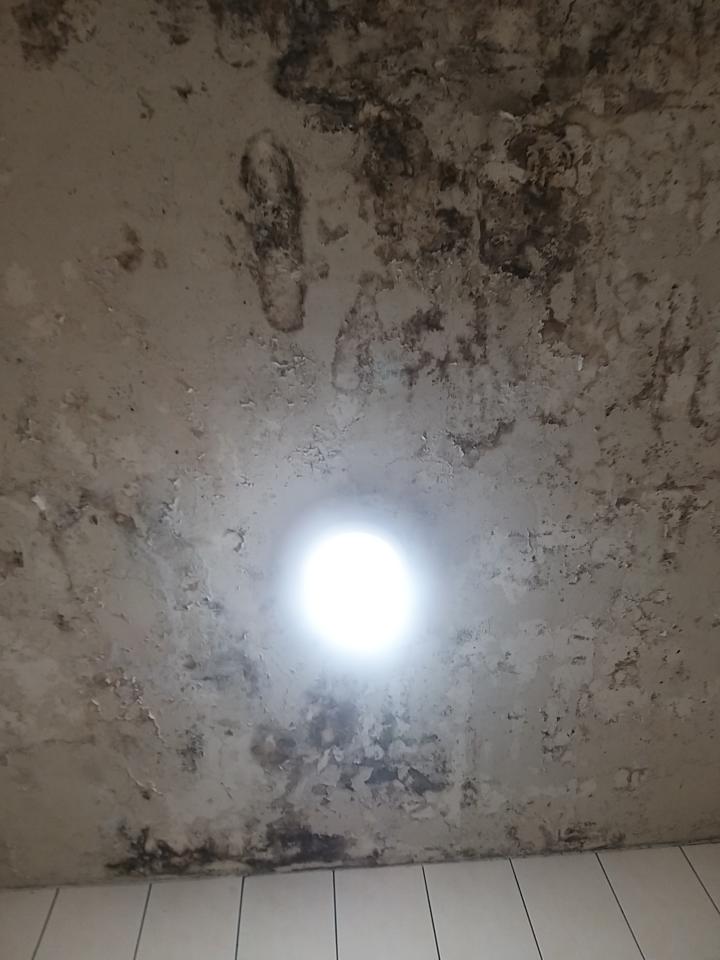 浴室除霉清潔案件圖片