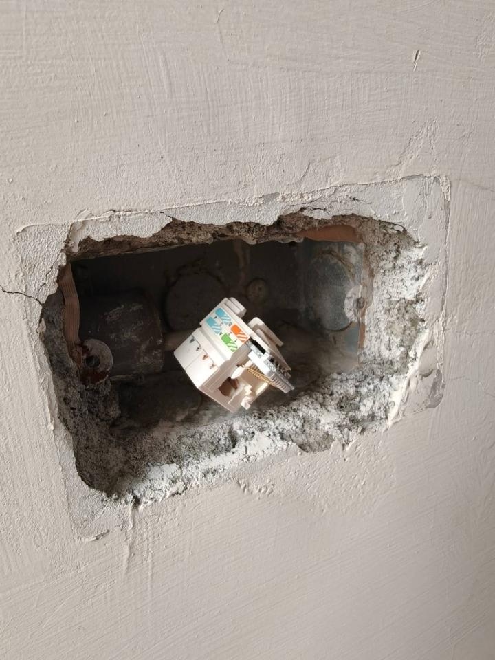 拉網路線案件圖片