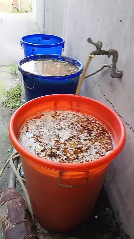 廚餘回收案件圖片