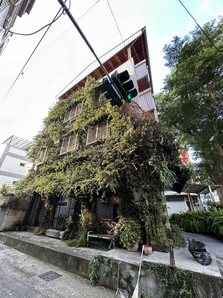 園藝維護案件圖片