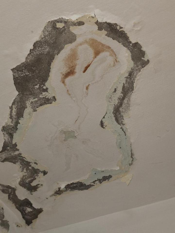 漏水處理案件圖片