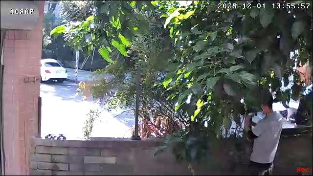 園藝維護案件圖片