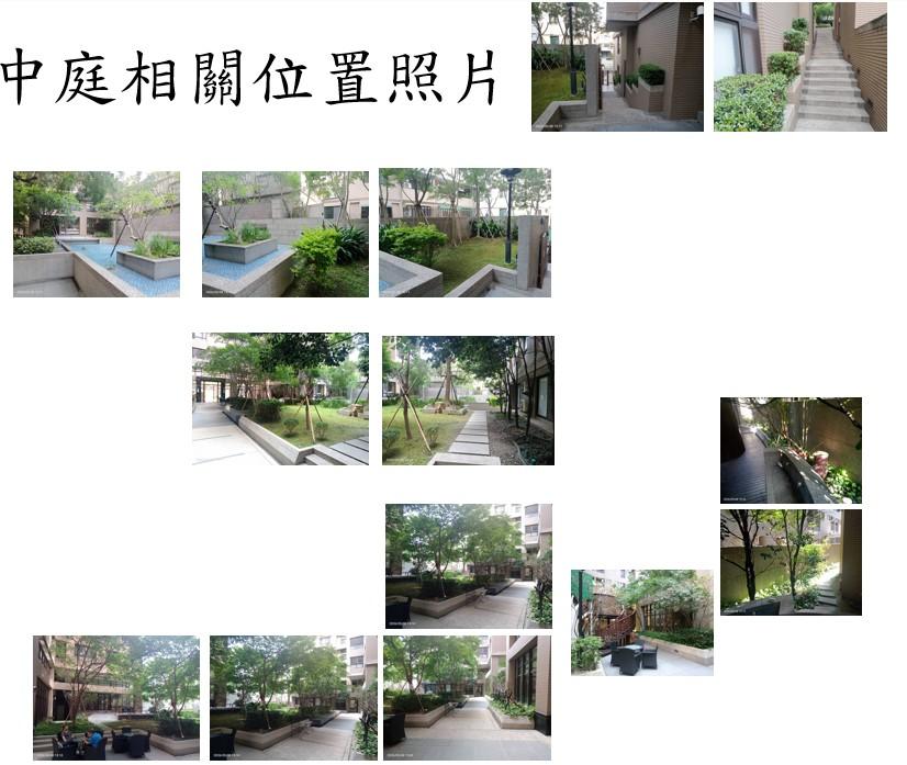 園藝維護案件圖片