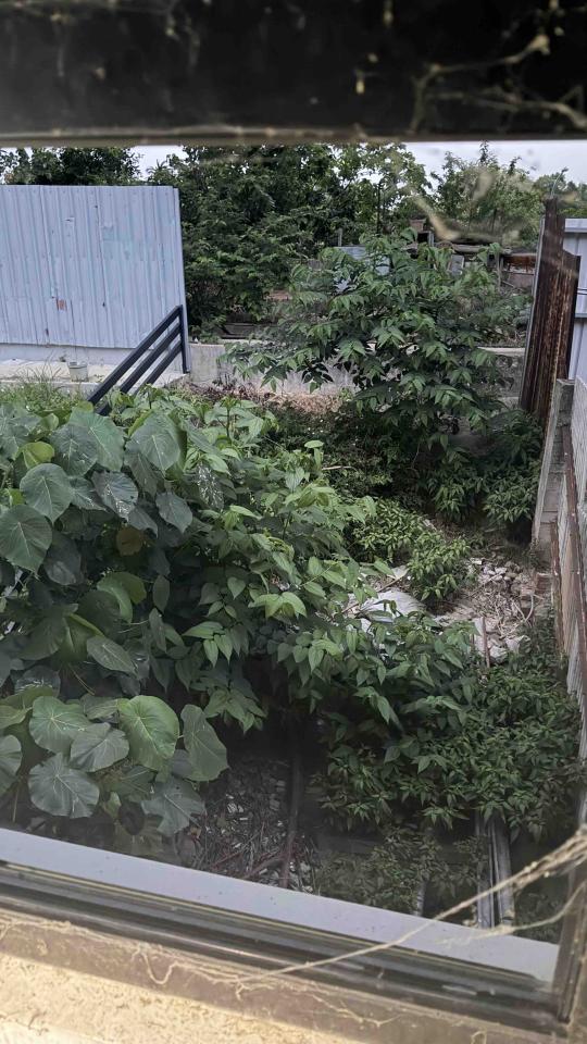 老屋翻新案件圖片