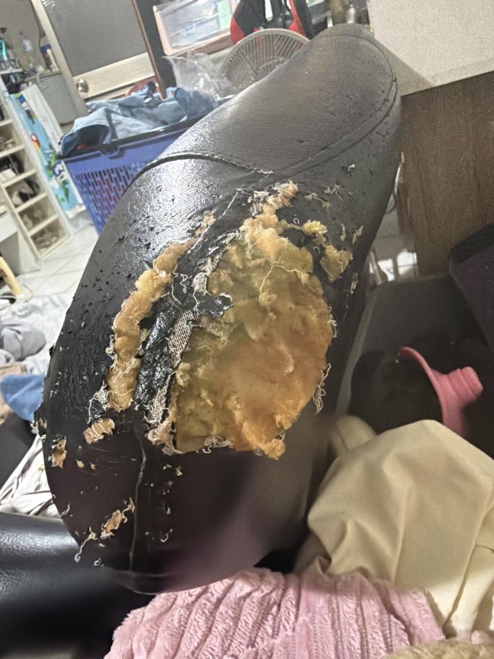 沙發修理案件圖片