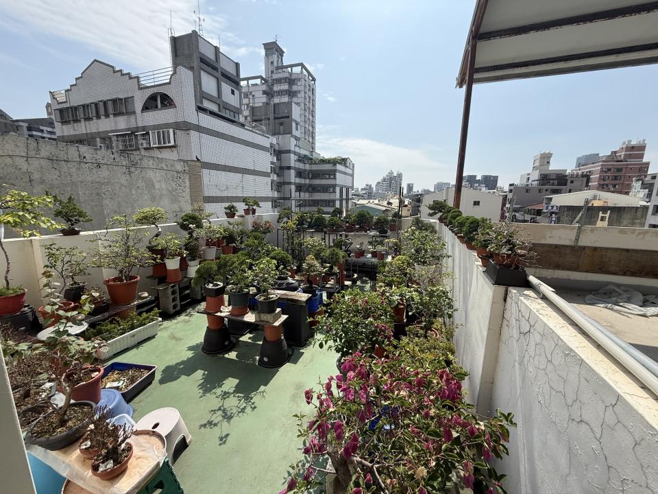 花園自動灑水系統案件圖片