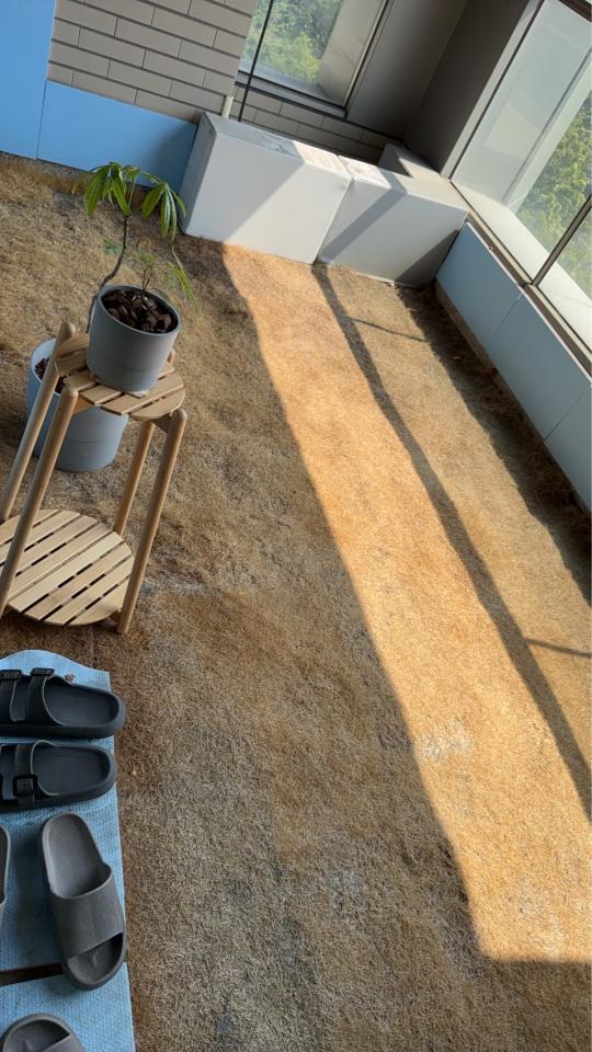 園藝維護案件圖片