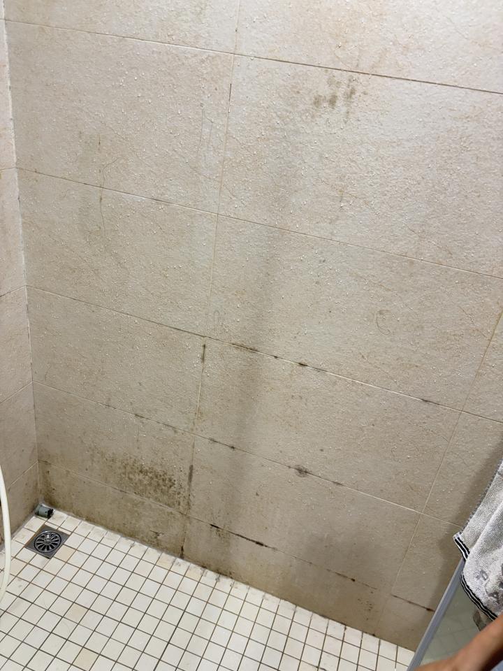 除霉案件圖片
