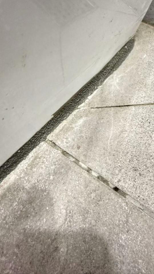 馬桶裝修案件圖片