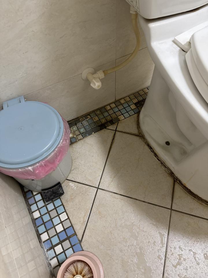 浴室翻新案件圖片