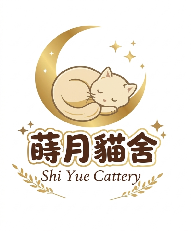 招牌製作案件圖片