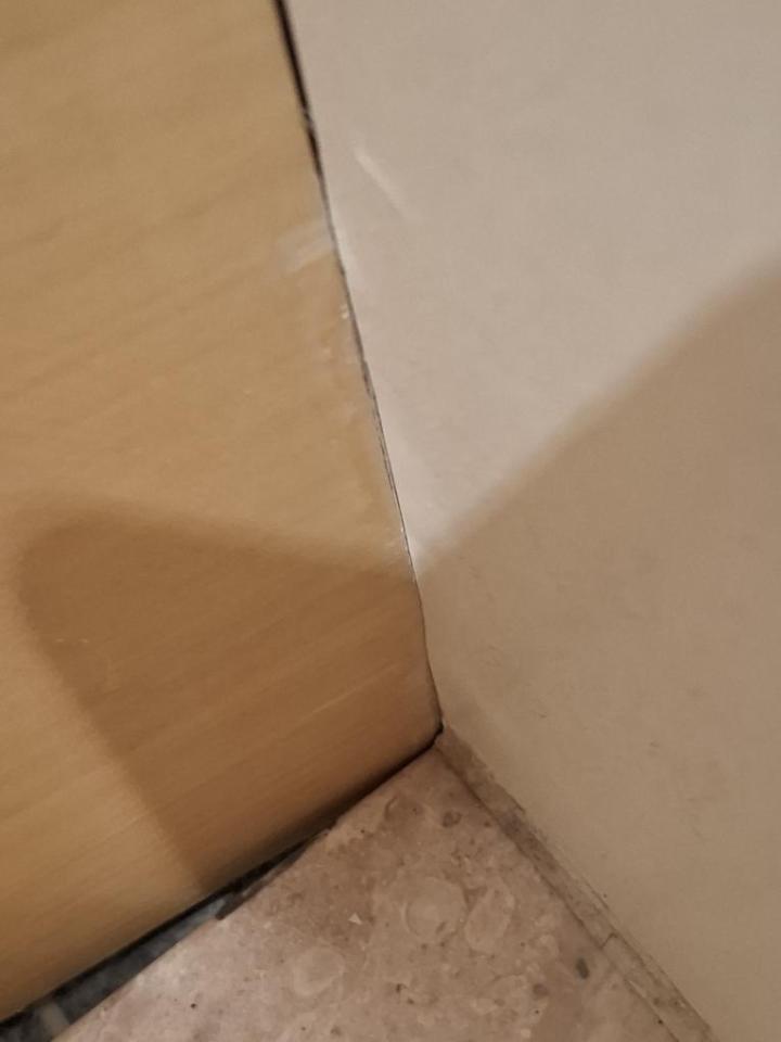 木門案件圖片