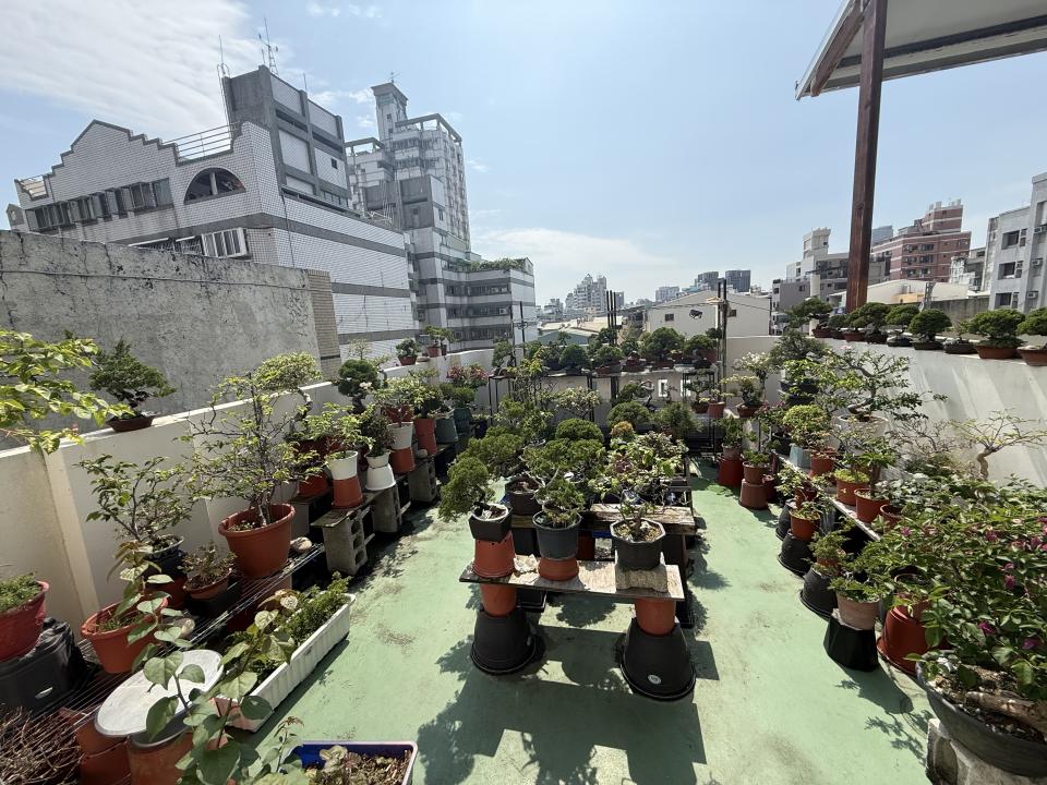 花園自動灑水系統案件圖片