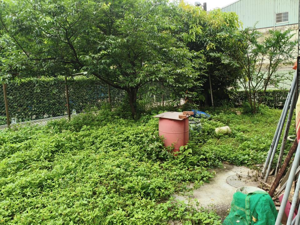園藝維護案件圖片