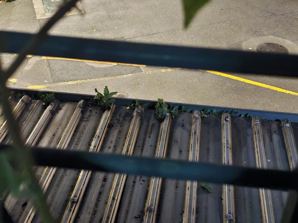 園藝維護案件圖片