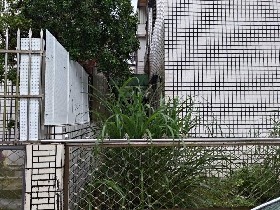 園藝維護案件圖片