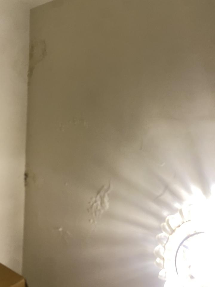 油漆工程案件圖片