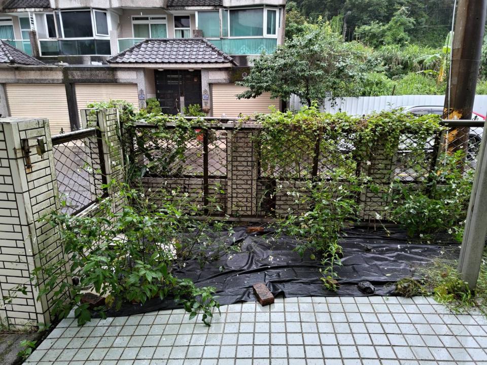 園藝維護案件圖片