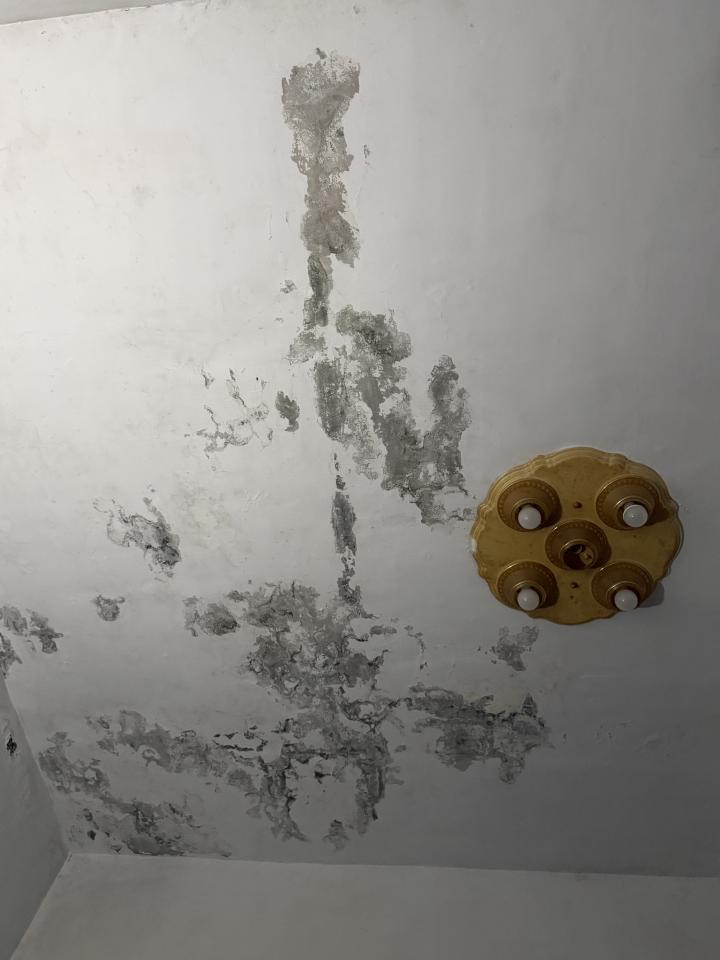 壁紙施工案件圖片