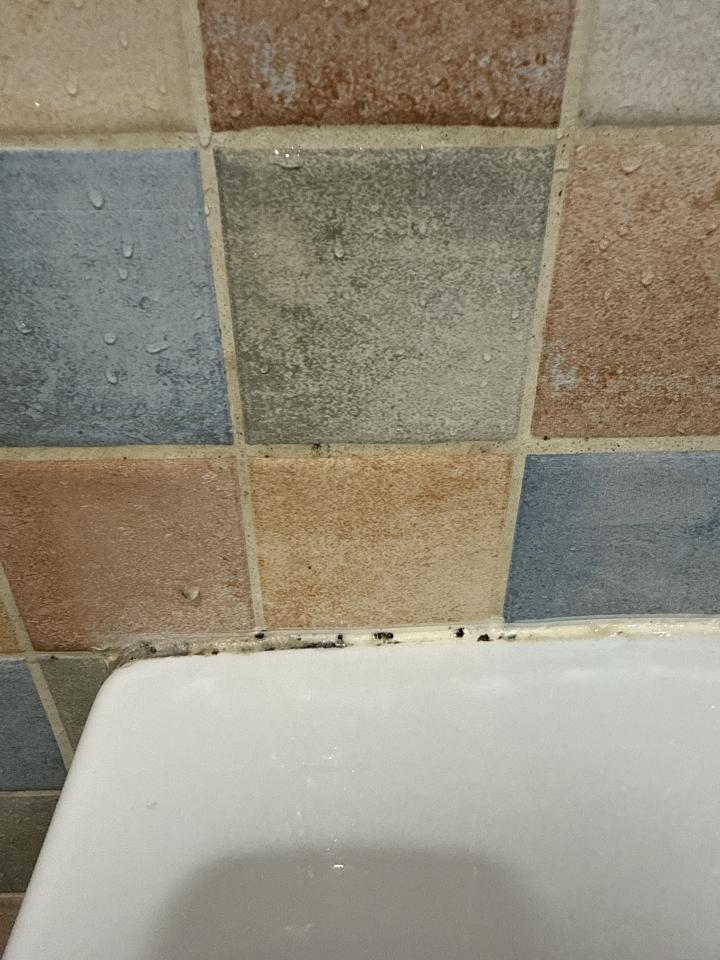 矽利康工程案件圖片