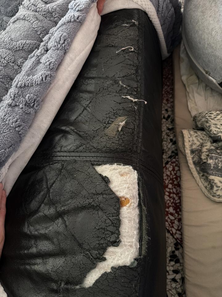沙發修理案件圖片