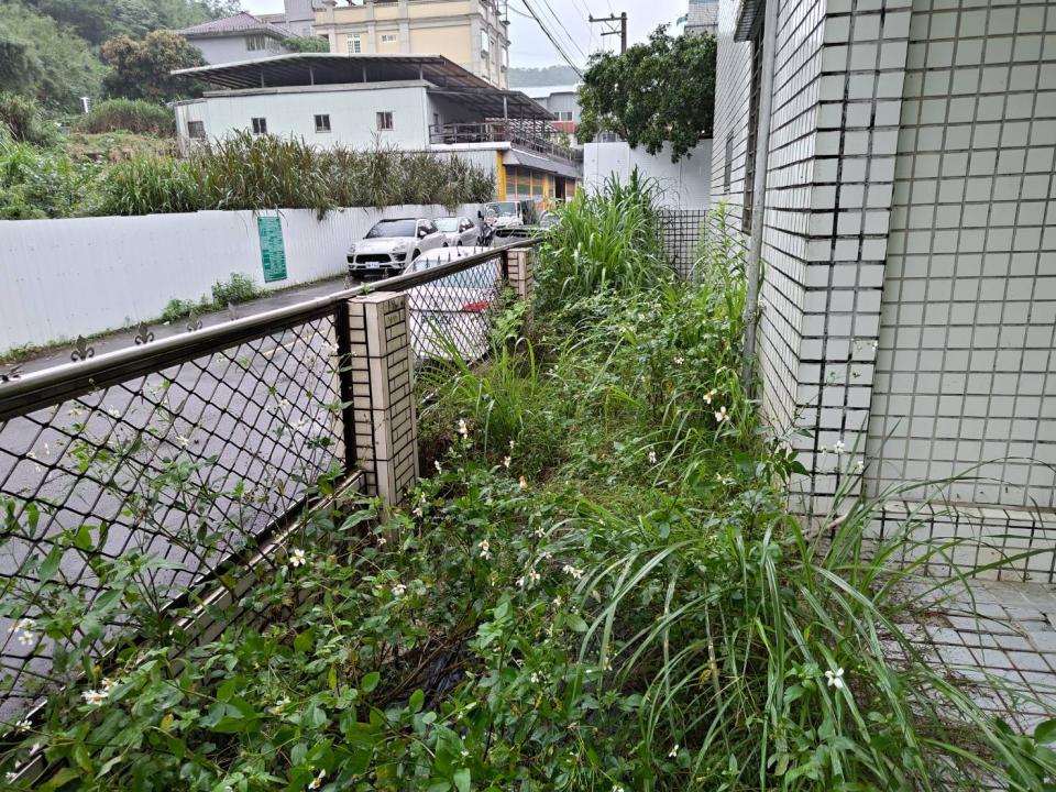 園藝維護案件圖片