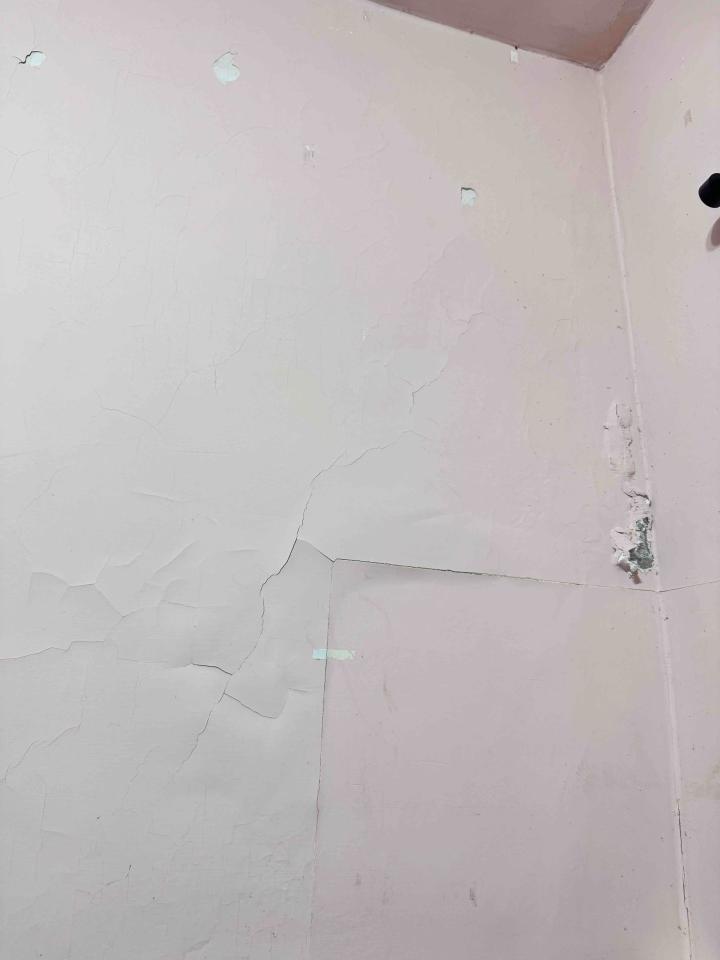 批土案件圖片
