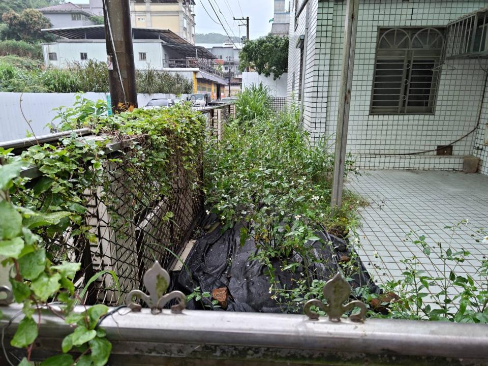 園藝維護案件圖片