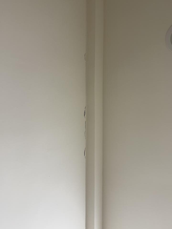 油漆工程案件圖片