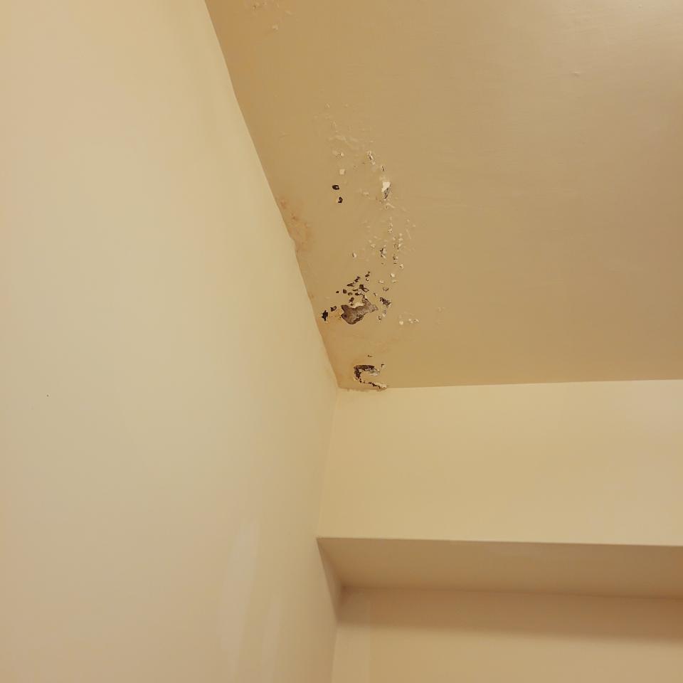 壁癌處理案件圖片