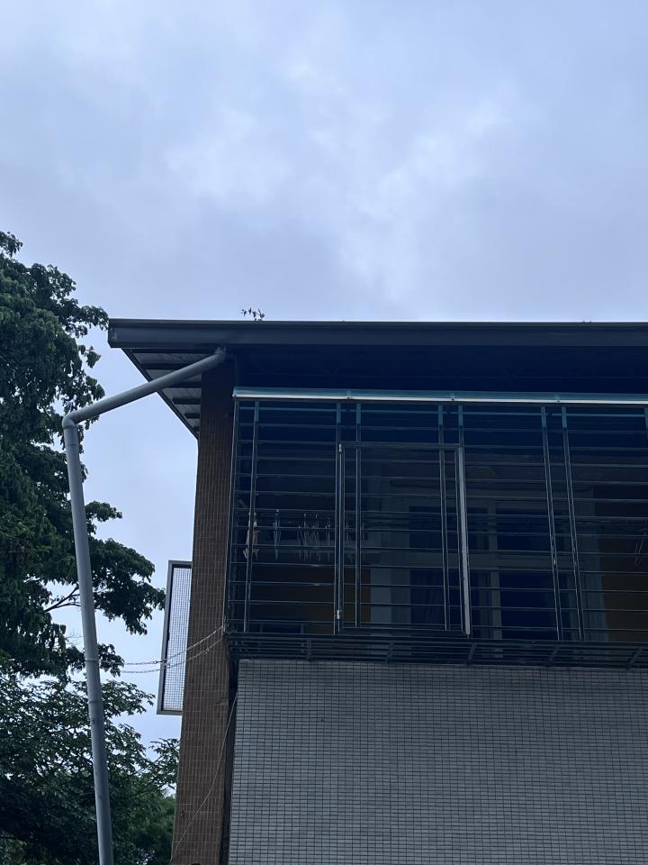 屋簷排水槽施工案件圖片