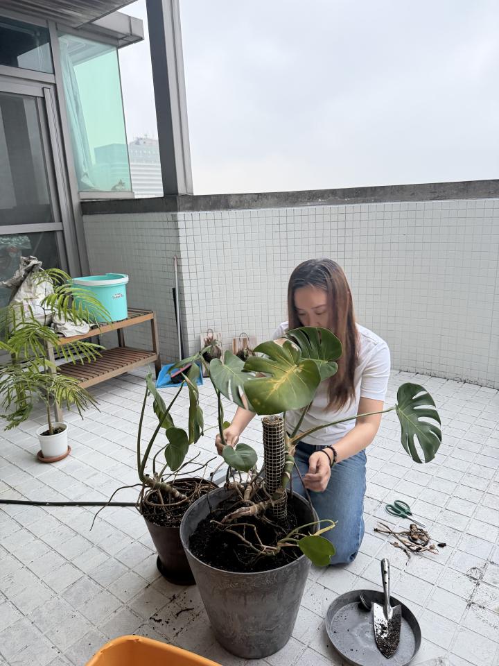 油漆工程案件圖片