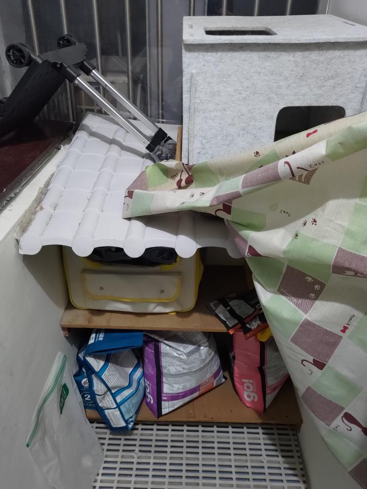 搬家案件圖片