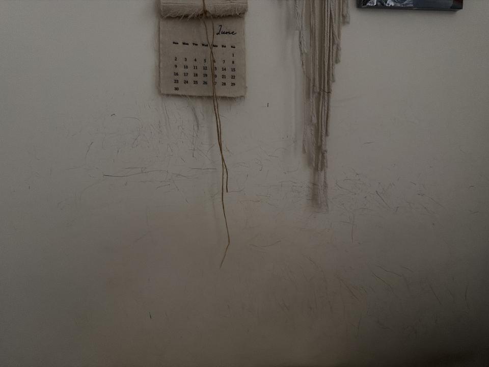 油漆工程案件圖片