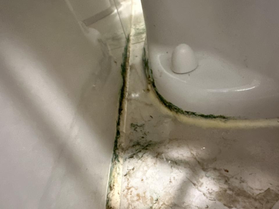 馬桶裝修案件圖片