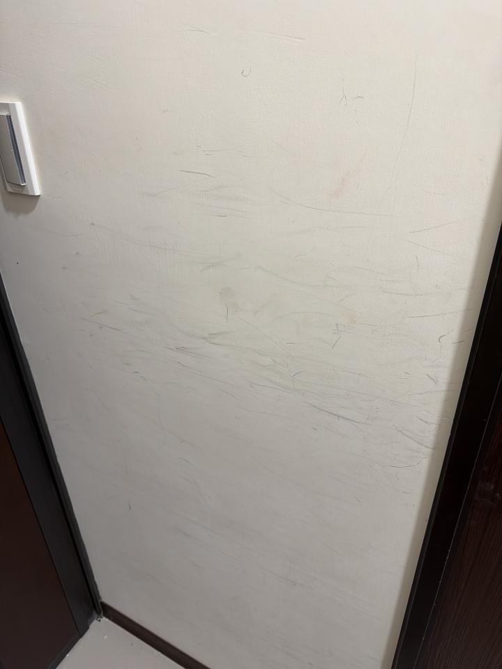 油漆工程案件圖片