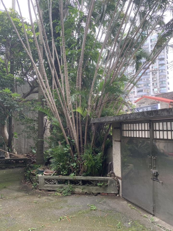園藝維護案件圖片