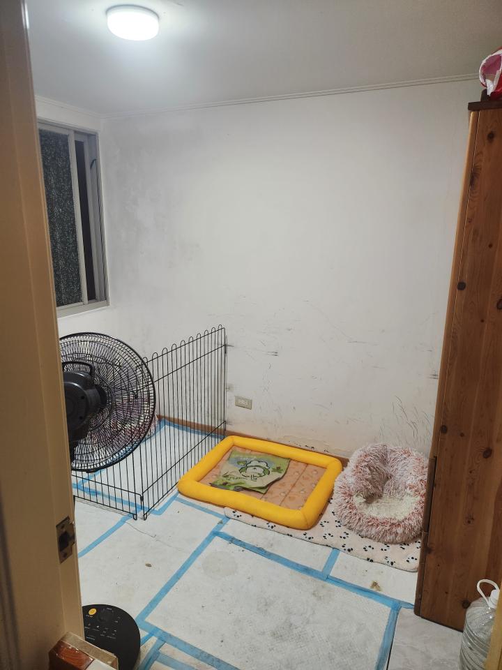 室內設計案件圖片
