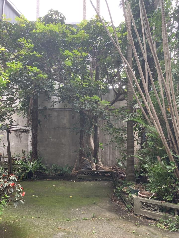 園藝維護案件圖片