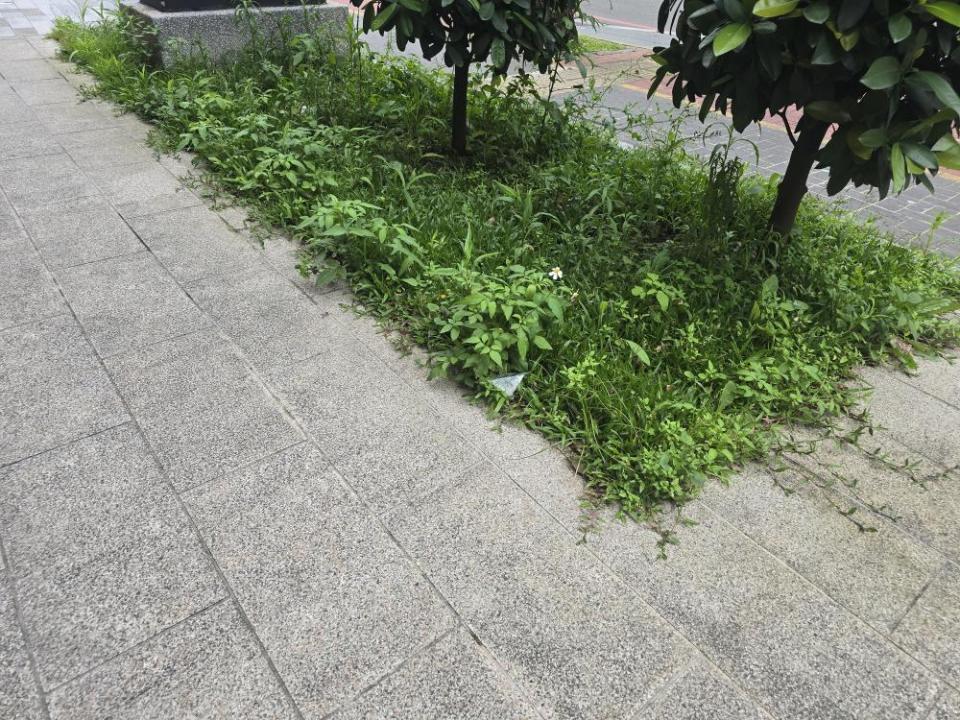 園藝維護案件圖片