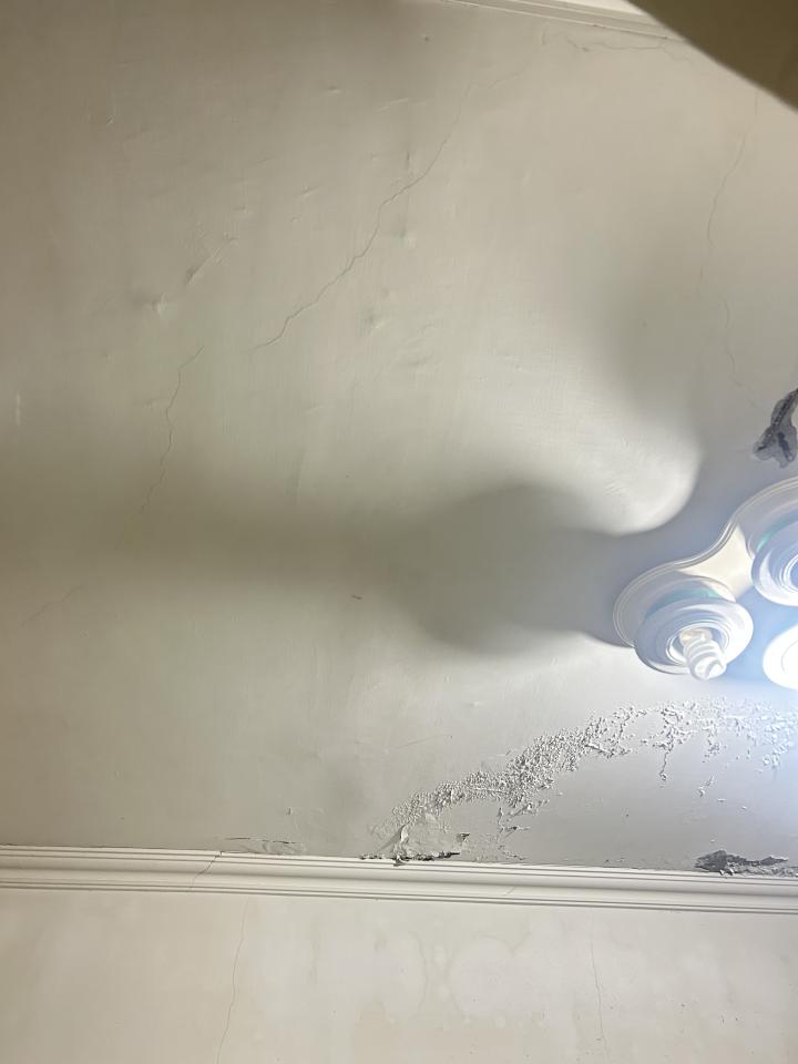 油漆工程案件圖片