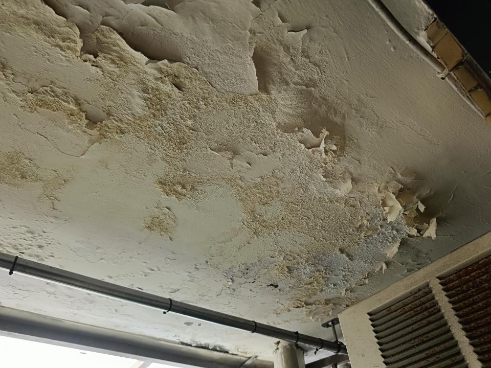 屋頂防水案件圖片