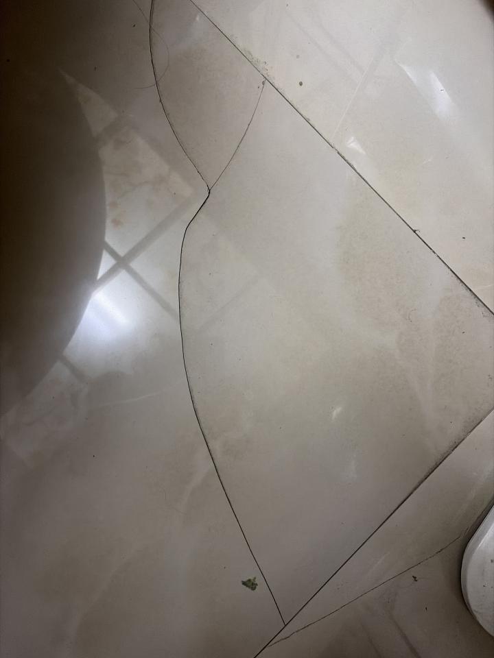 磁磚修補案件圖片