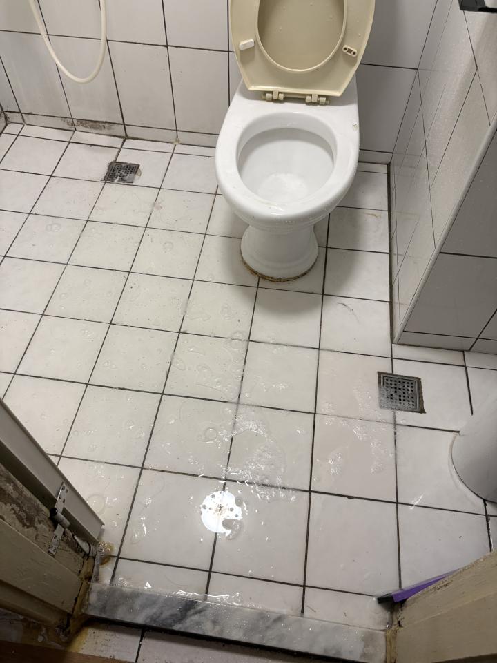 浴室翻新案件圖片
