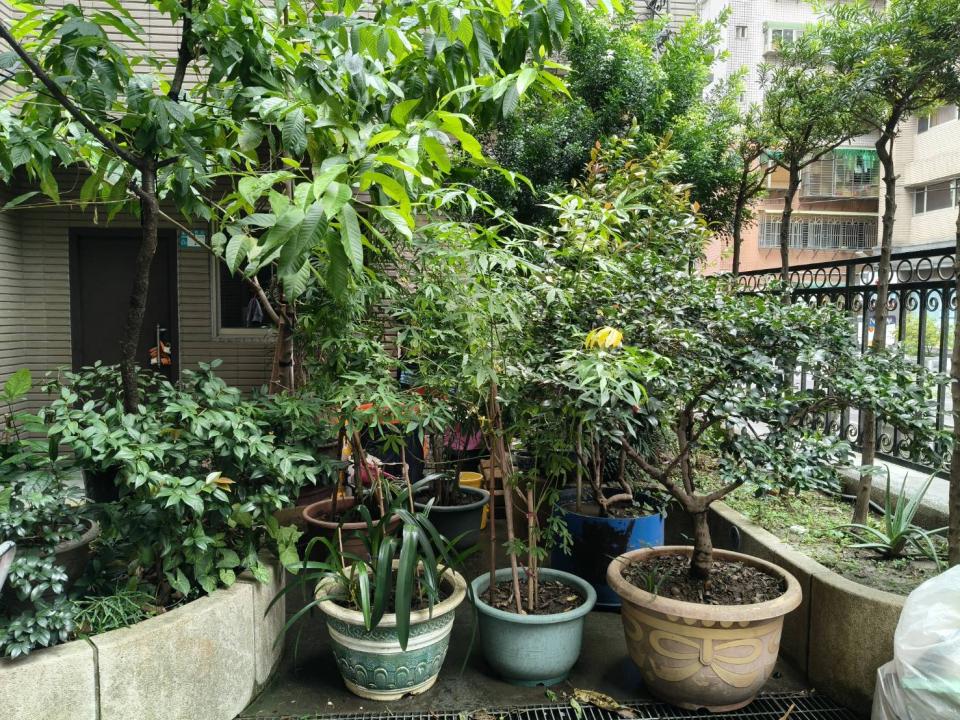 大型垃圾回收案件圖片